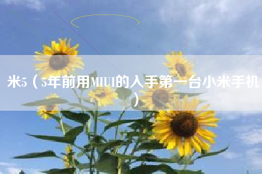 米5（5年前用MIUI的入手第一台小米手机）