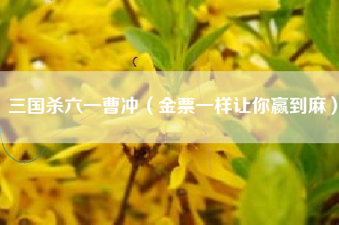 三国杀六一曹冲（金票一样让你赢到麻）
