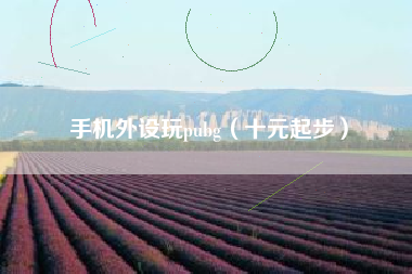 手机外设玩pubg（十元起步）