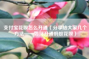支付宝花呗怎么开通（分享给大家几个方法——如何开通蚂蚁花呗）