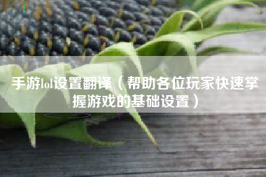 手游lol设置翻译（帮助各位玩家快速掌握游戏的基础设置）