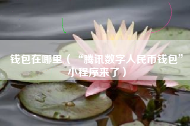 钱包在哪里（“腾讯数字人民币钱包”小程序来了）