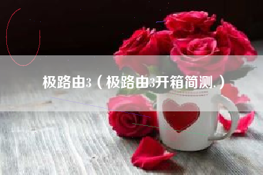 极路由3（极路由3开箱简测.）