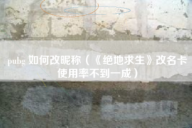 pubg 如何改昵称（《绝地求生》改名卡使用率不到一成）