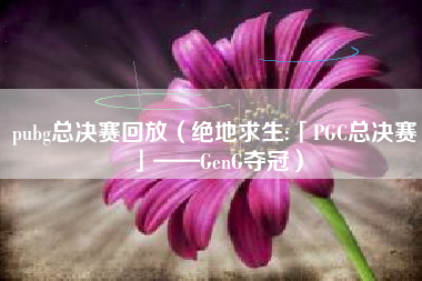 pubg总决赛回放（绝地求生:「PGC总决赛」——GenG夺冠）