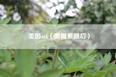 美图m4（美图素颜后）
