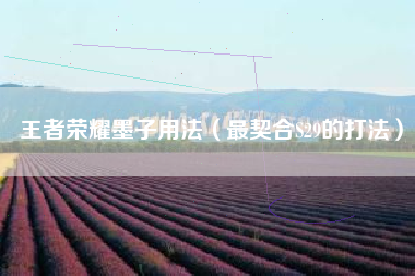 王者荣耀墨子用法（最契合S29的打法）