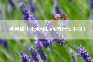 全网通（小米9和iQOO有什么不同）