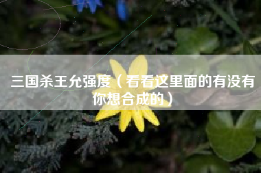 三国杀王允强度（看看这里面的有没有你想合成的）