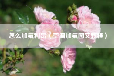 怎么加氟利昂（空调加氟图文教程）