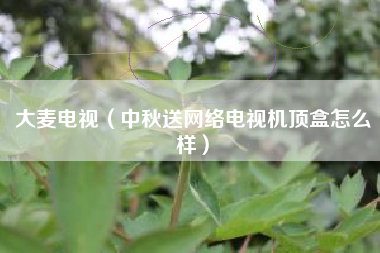 大麦电视（中秋送网络电视机顶盒怎么样）