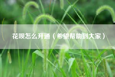 花呗怎么开通（希望帮助到大家）