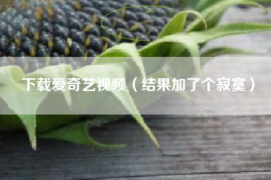 下载爱奇艺视频（结果加了个寂寞）