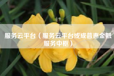 服务云平台（服务云平台或成普惠金融服务中枢）