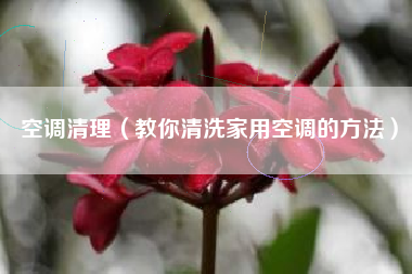 空调清理（教你清洗家用空调的方法）