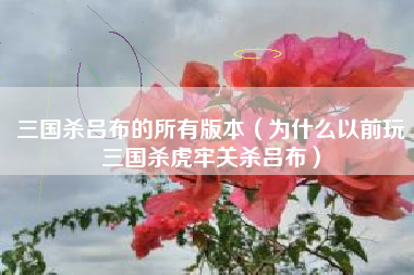 三国杀吕布的所有版本（为什么以前玩三国杀虎牢关杀吕布）