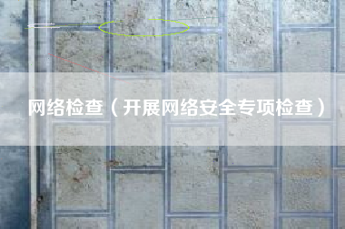 网络检查（开展网络安全专项检查）