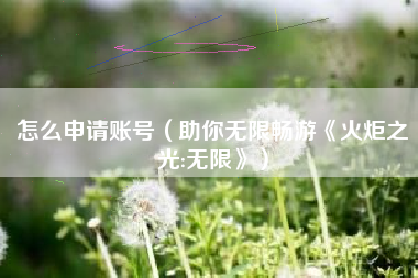 怎么申请账号（助你无限畅游《火炬之光:无限》）