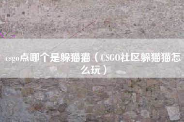 csgo点哪个是躲猫猫（CSGO社区躲猫猫怎么玩）