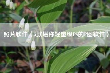 照片软件（5款堪称轻量级PS的P图软件）