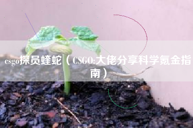 csgo探员蝰蛇（CSGO:大佬分享科学氪金指南）