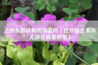 三国杀国战有司马徽吗（这些组合表示无敌还真是寂寞）