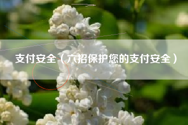 支付安全（六招保护您的支付安全）