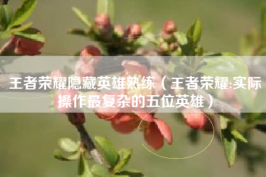 王者荣耀隐藏英雄熟练（王者荣耀:实际操作最复杂的五位英雄）