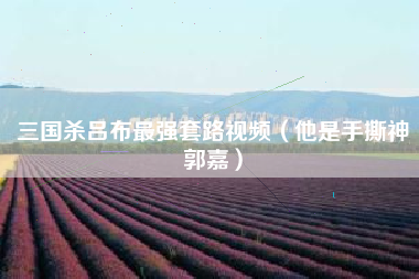 三国杀吕布最强套路视频（他是手撕神郭嘉）