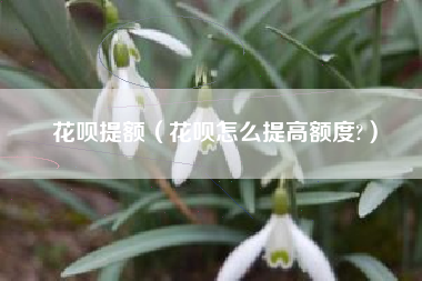 花呗提额（花呗怎么提高额度?）