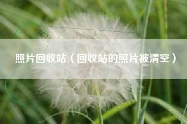 照片回收站（回收站的照片被清空）