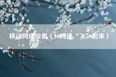 移动网络设置（4G网速“飞”起来）