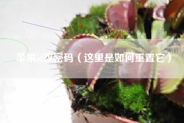 苹果id改密码（这里是如何重置它）