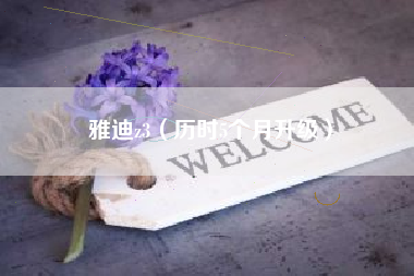 雅迪z3（历时5个月升级）