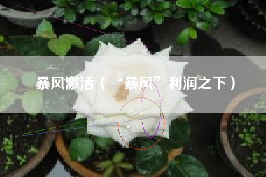 暴风激活（“暴风”利润之下）