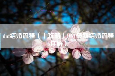 dnf结婚流程（「攻略」DNF最新结婚流程详解）