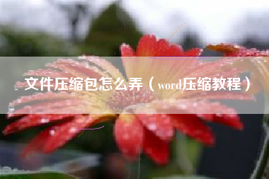 文件压缩包怎么弄（word压缩教程）