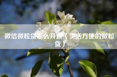 微信微粒贷怎么开通（灵活方便的微粒贷）