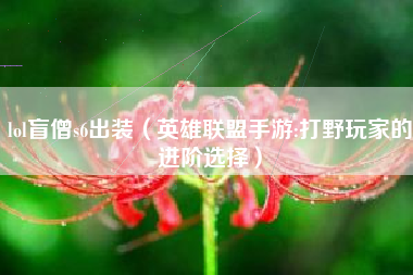 lol盲僧s6出装（英雄联盟手游:打野玩家的进阶选择）