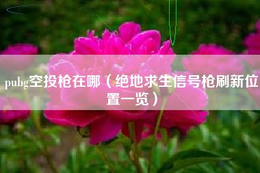 pubg空投枪在哪（绝地求生信号枪刷新位置一览）