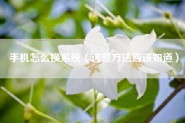 手机怎么换系统（这些方法应该知道）