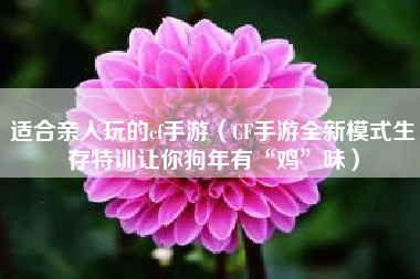 适合亲人玩的cf手游（CF手游全新模式生存特训让你狗年有“鸡”味）