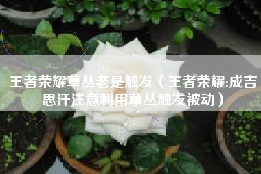 王者荣耀草丛老是触发（王者荣耀:成吉思汗注意利用草丛触发被动）