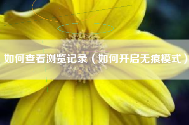 如何查看浏览记录（如何开启无痕模式）