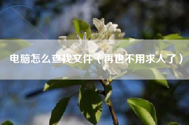 电脑怎么查找文件（再也不用求人了）