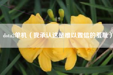 dota2单机（我承认这是难以置信的羞耻）
