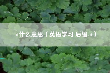 it什么意思（英语学习 后缀-it）