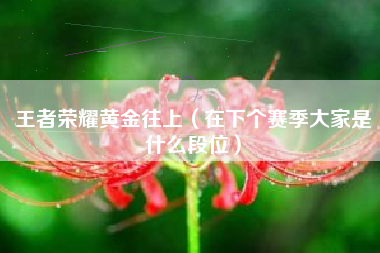 王者荣耀黄金往上（在下个赛季大家是什么段位）