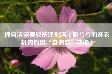桶自洁需要放洗涤剂吗（脏兮兮的洗衣机内筒用“自清洁”功能）