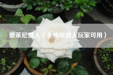 德莱尼猎人（全种族猎人玩家可用）